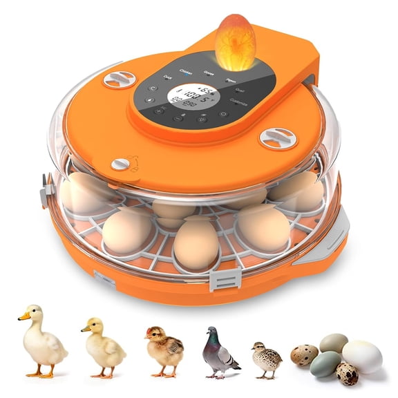 Incubators for Hatching Eggs, 15 Egg Incubator with Automatic Egg Turning and Humidity Control, 360° View Incubadora De Huevos De Gallina, Egg Candler, Incubator for Chicken Eggs, Ducks, Goose, Quail