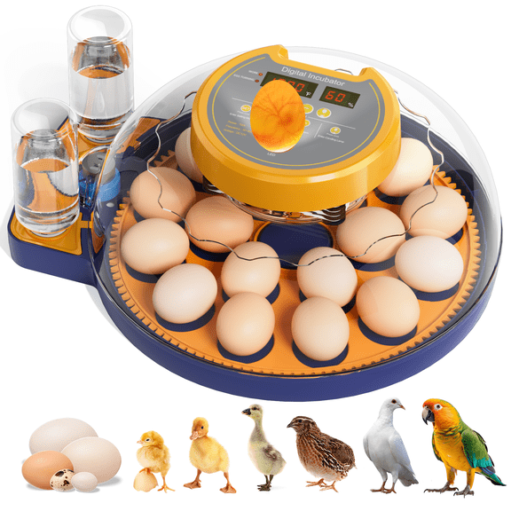 Incubators for Hatching Eggs, 18 Egg Incubator with Automatic Egg Turning and Humidity Control, Temp Control, Hatch Day, 360 Viewing for Chicken, Duck, Quail Eggs, Ideal for Farm, School and Lab
