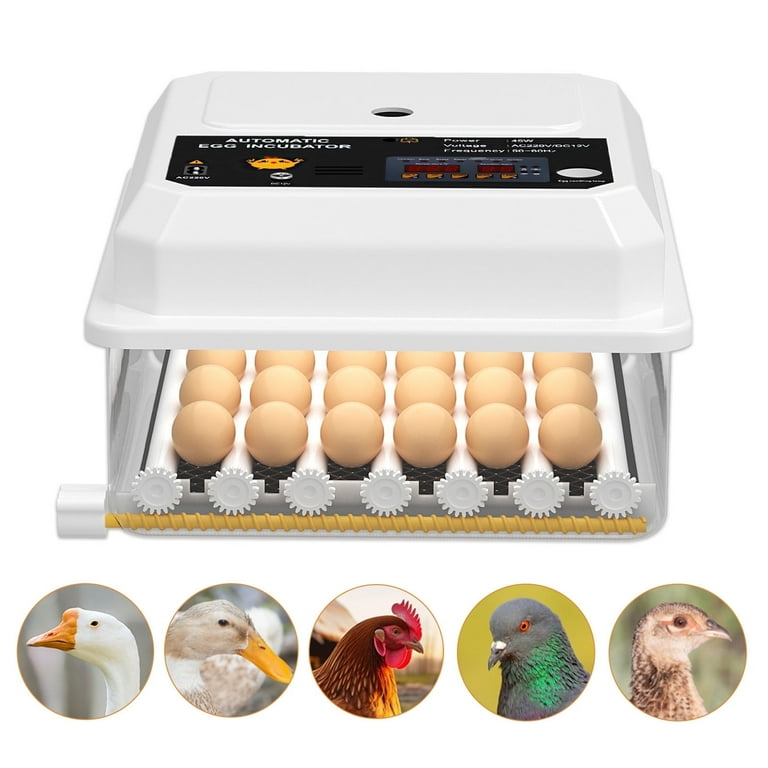 Hairycotar 36 Egg Incubator, Automatic Egg Turner, Temperature and