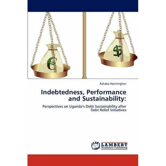 Indebtedness, Performance and Sustainability (Paperback)