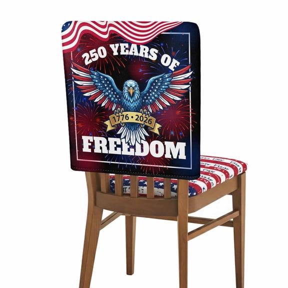 Independence Day Chair Back Covers Pack of 1, 250 YEARS OF FREEDOM Cartoon Bald Eagle Removable Dining Seat Cover Washable Kitchen Chair Slipcovers Protective for Party Festival Decoration 19x20in,