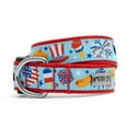 thumbnail image 1 of Independence Day Collar, 1 of 3