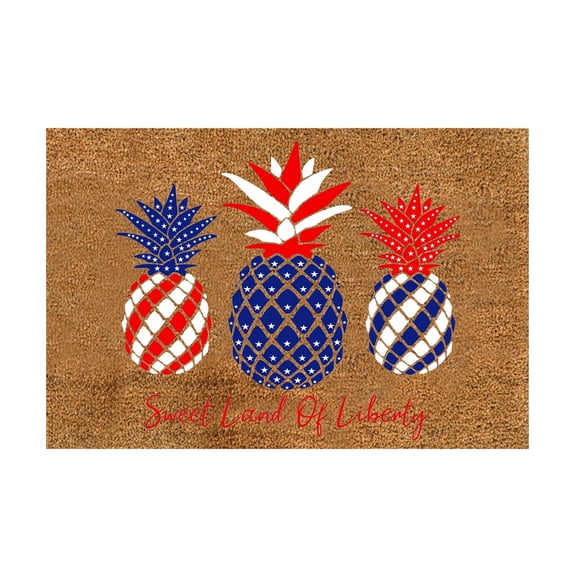 Independence Day Patriotic Area Rug 15.7 x 23.6 in Non-Slip Low Profile 4th of July Stars and Stripes Welcome Mat Festive Holiday Home Decoration 16x24inch