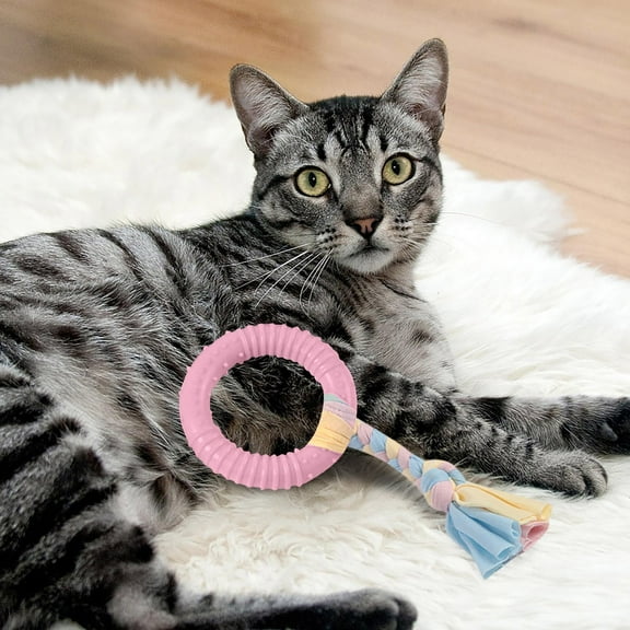 Indestructible Chew Toy, Nearly Unbreakable Dog Bone, Made From High Density Polymer Material, The Solution For Dogs That Destroy Toys