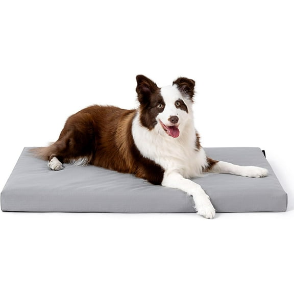 Indestructible Dog Bed - Outdoor Waterproof Chew Proof Dog Crate Pad - Orthopedic Kennel Mat for Aggressive Chewers - Large Breeds & Fits 36-Inch Crate - 35"x22", Limestone