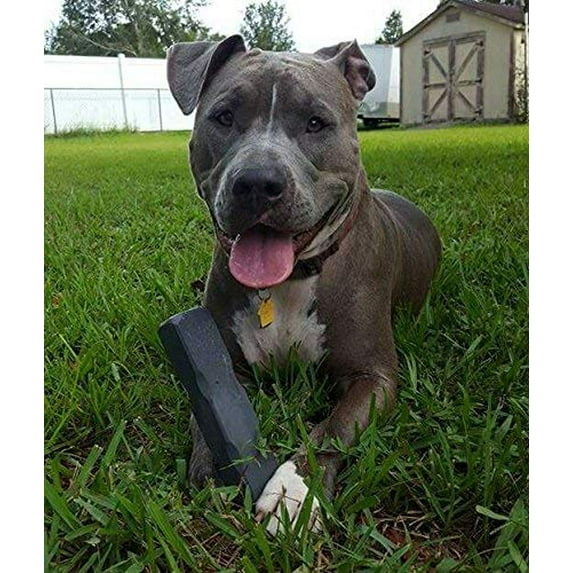 Indestructibone Extra Large Chew Toy for Dogs 30-50 Pounds