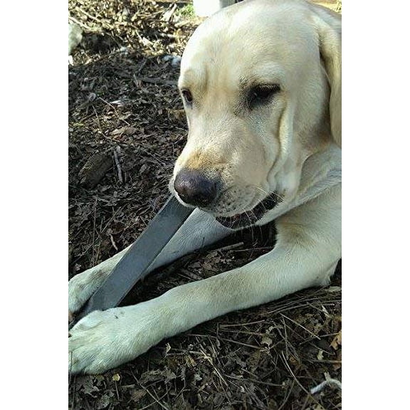 Indestructibone Mega Max Virtually Indestructible Chew Toy for Dogs 51-100 Pound