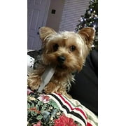 Indestructibone Mini Virtually Indestructible Dog Chew Toy for Dogs up to 15lbs