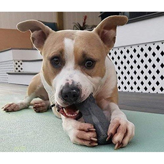 Indestructibone Original Chew Toy for Dogs 16-29 Pounds