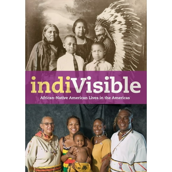 IndiVisible : African-Native American Lives in the Americas (Paperback)