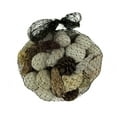 thumbnail image 1 of India House Neutral White Mushroom Mix Assorted Dried Botanicals In a Bag, 1 of 4