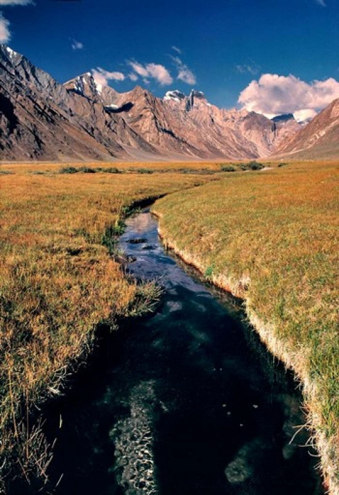 India Ladakh Pensila Mountain stream Canvas Art - Ric Ergenbright DanitaDelimont (24 x 36)