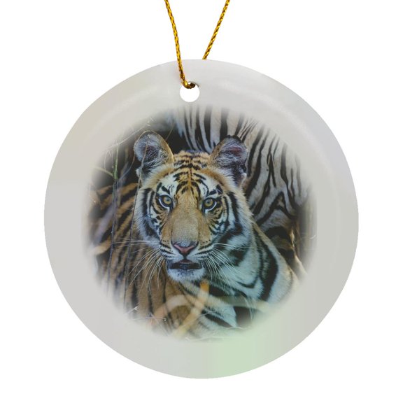 3drose, India, Madhya Pradesh, Bandhavgarh Np. a Young Tiger in Tall Grass., Circle Porcelain Ornament