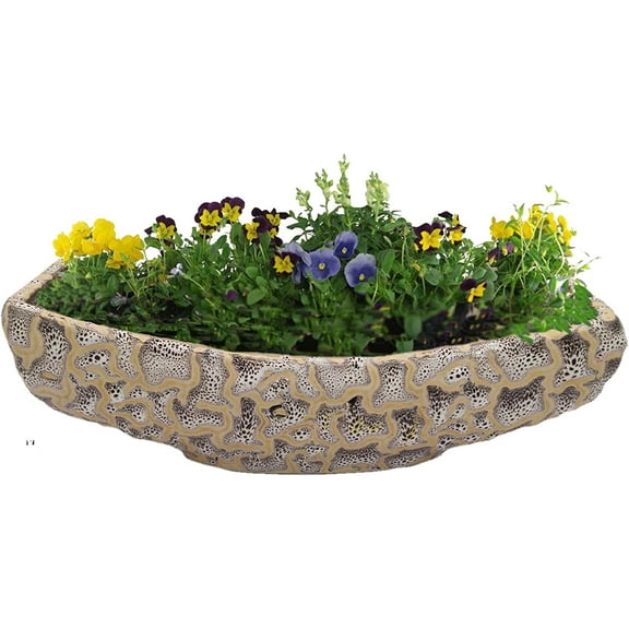 India Meets India Ceramic Boat Shaped Planter Flower Pots Indoor Outdoor Planter, Handicraft by Awarded Indian Artisan (10" Inch, Cream)