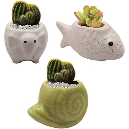 India Meets India Ceramic Flower Pot Planter Plant Pot Indoor Planter Handicraft by Awarded Indian Artisan (Turtle, Dog and Sheep (Set of 3))