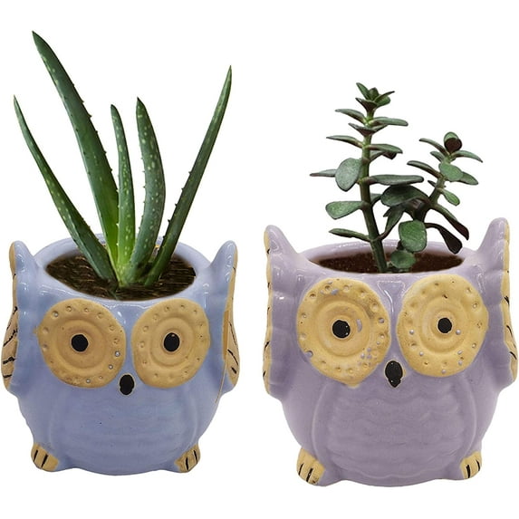 India Meets India Ceramic Planter, Owl Shaped [Multi-Color - 3.5 inch] - Ceramic Flower Pot/Indoor/Outdoor Pot, Set of 2 - by Awarded Indian Artisan