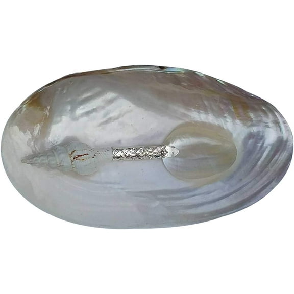 India Meets India Handicraft Seashell Serving Tray And Spoon Serving Platter, Best Gifting, Made By Awarded Indian Artisan