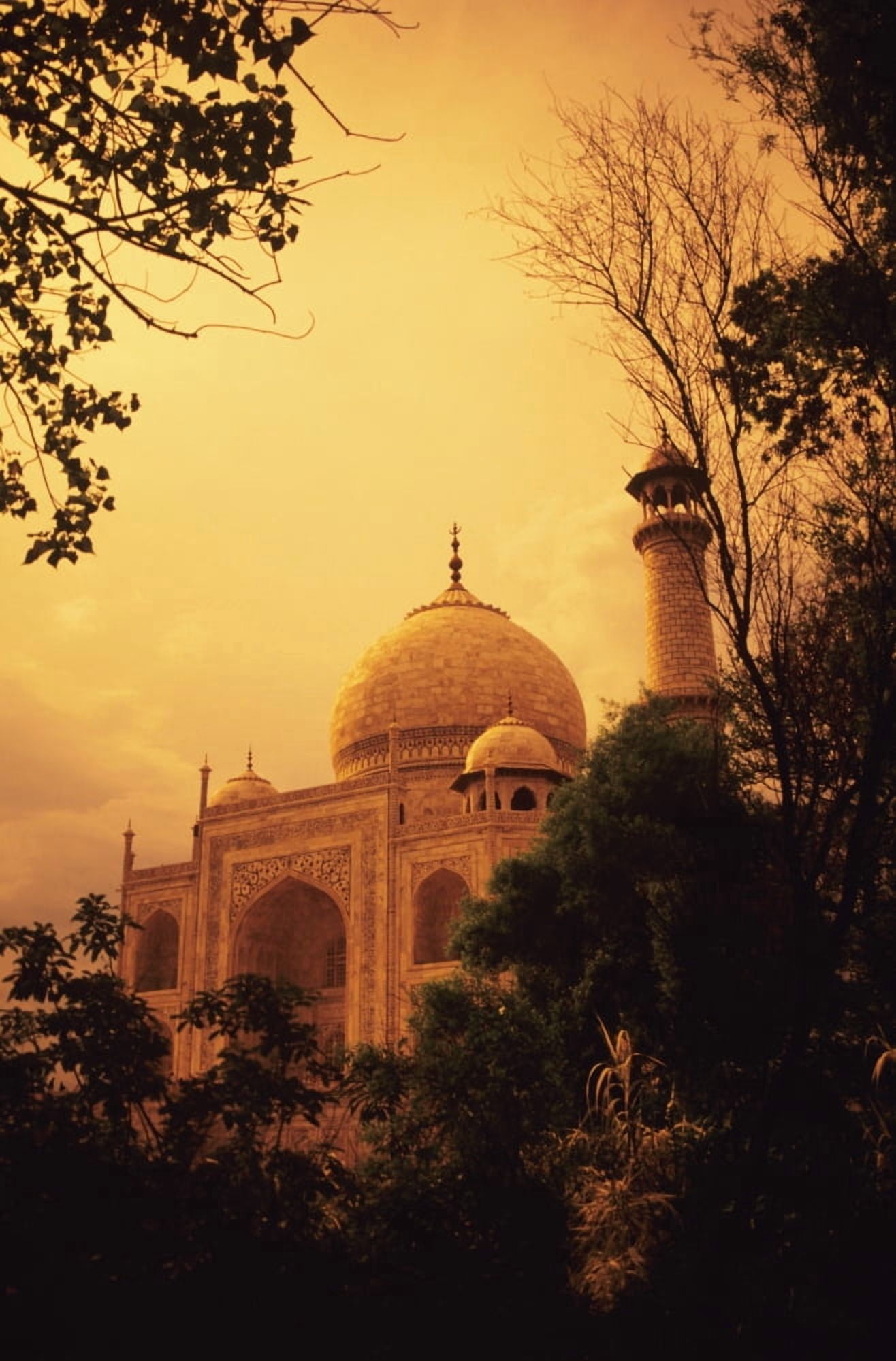 India Taj Mahal at dusk Agra Canvas Art - Kyle Rothenborg Design Pics (11 x 17)