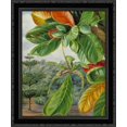 thumbnail image 1 of Indian Almond 20x24 Black Ornate Wood Framed Canvas Art by North, Marianne, 1 of 2
