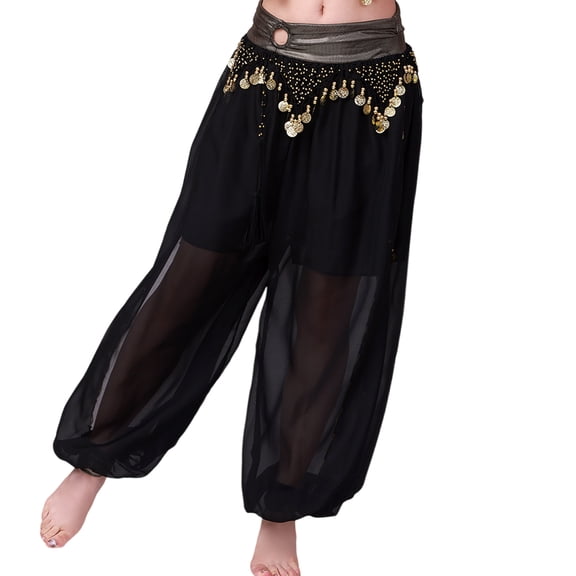 Indian Arabian Belly Dance Costume Harems Pants with Side Split Sequins – Stage Performances & Gifts
