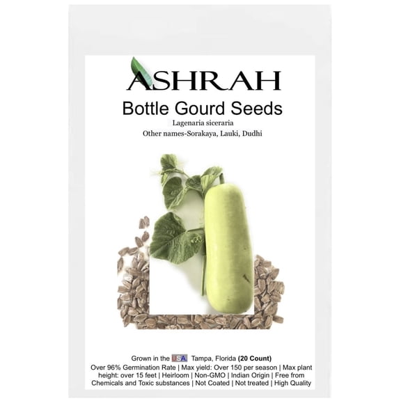 ASHRAH Heirloom Indian Bottle Gourd Seeds (Lauki, Dhudi, Sorakaya) 60 Count, Non-GMO, High-Yield Garden Variety.