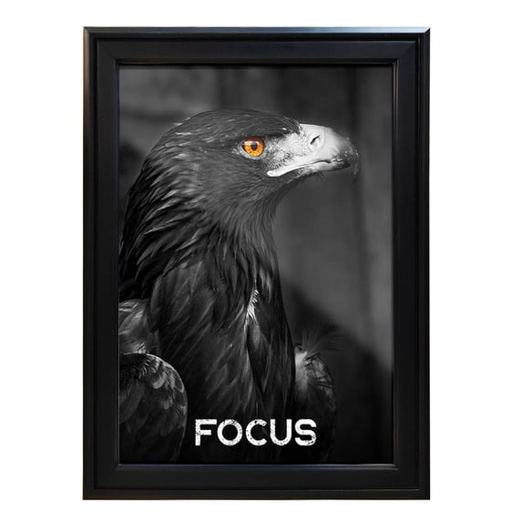 Indian Crafts Printed Photo Framed Painting for Home Decor Office Studio Wall Living Room Decoration (Size-10.2x13.2 Inch)