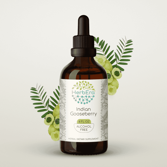 HerbEra Indian Gooseberry Tincture, Herbal Dietary Supplement for Antioxidant Support, Indian Gooseberry (Emblica officinalis) Dried Fruit Extract, Natural, Alcohol-Free, Drops 4 oz