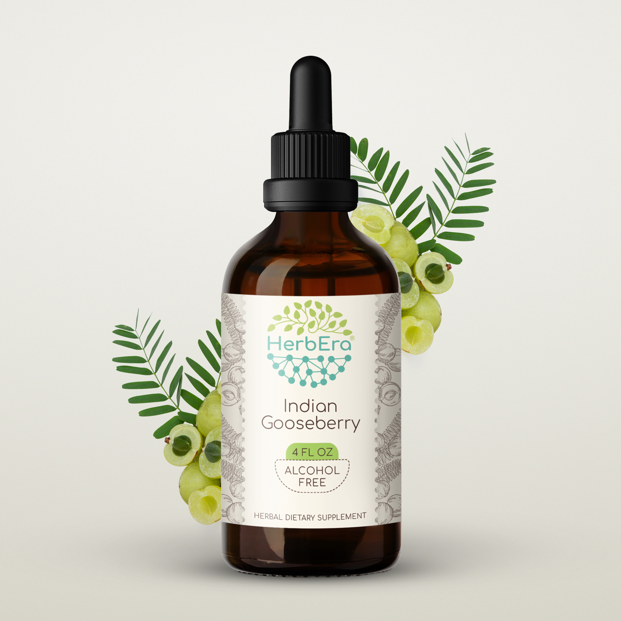 Indian Gooseberry AlcoholFREE Herbal Extract Tincture, Super
