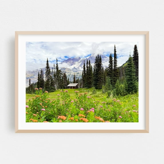 Indian Henry's Summer 2025 - Photography Mountain Nature Landscape Forest Flowers Scenic Wilderness Oak Framed Wall Art Print 18 x 24 inches