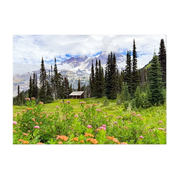 Indian Henry's Summer 2025 - Photography Mountain Nature Landscape Forest Flowers Scenic Wilderness Unframed Wall Art Print 18 x 24 inches