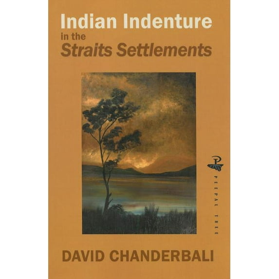 Indian Indenture in the Straits Settlements : The Politics of Policy and Practice in the Straits Settlements (Paperback)