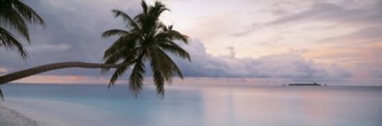 Indian Ocean Maldives Canvas Art - Panoramic Images (36 x 12)