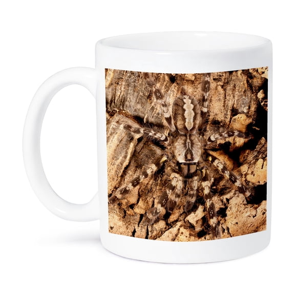 Indian Ornamental Tree Spider - Na02 Dno0784 - David Northcott, 15oz Mug