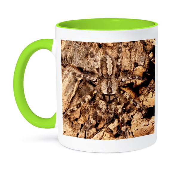 3dRose, Indian Ornamental Tree Spider - NA02 DNO0784 - David Northcott, 15oz Two-Tone Green Mug