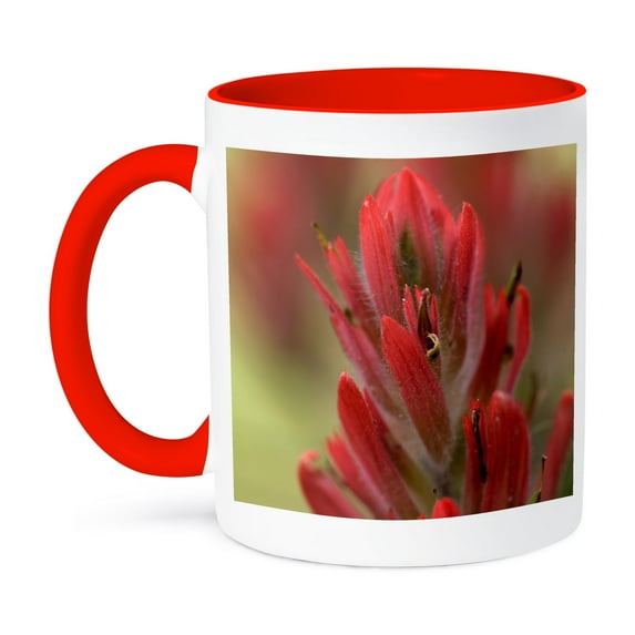 3dRose, Indian Paintbrush, Scarlet Paintbrush, Flower - NA01 FZU0005 - Frank Zurey, 15oz Two-Tone Red Mug