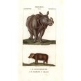 thumbnail image 1 of Indian Rhino Rhinoceros UnicornisA Poster Print By ?? Florilegius Mary Evans, 1 of 3