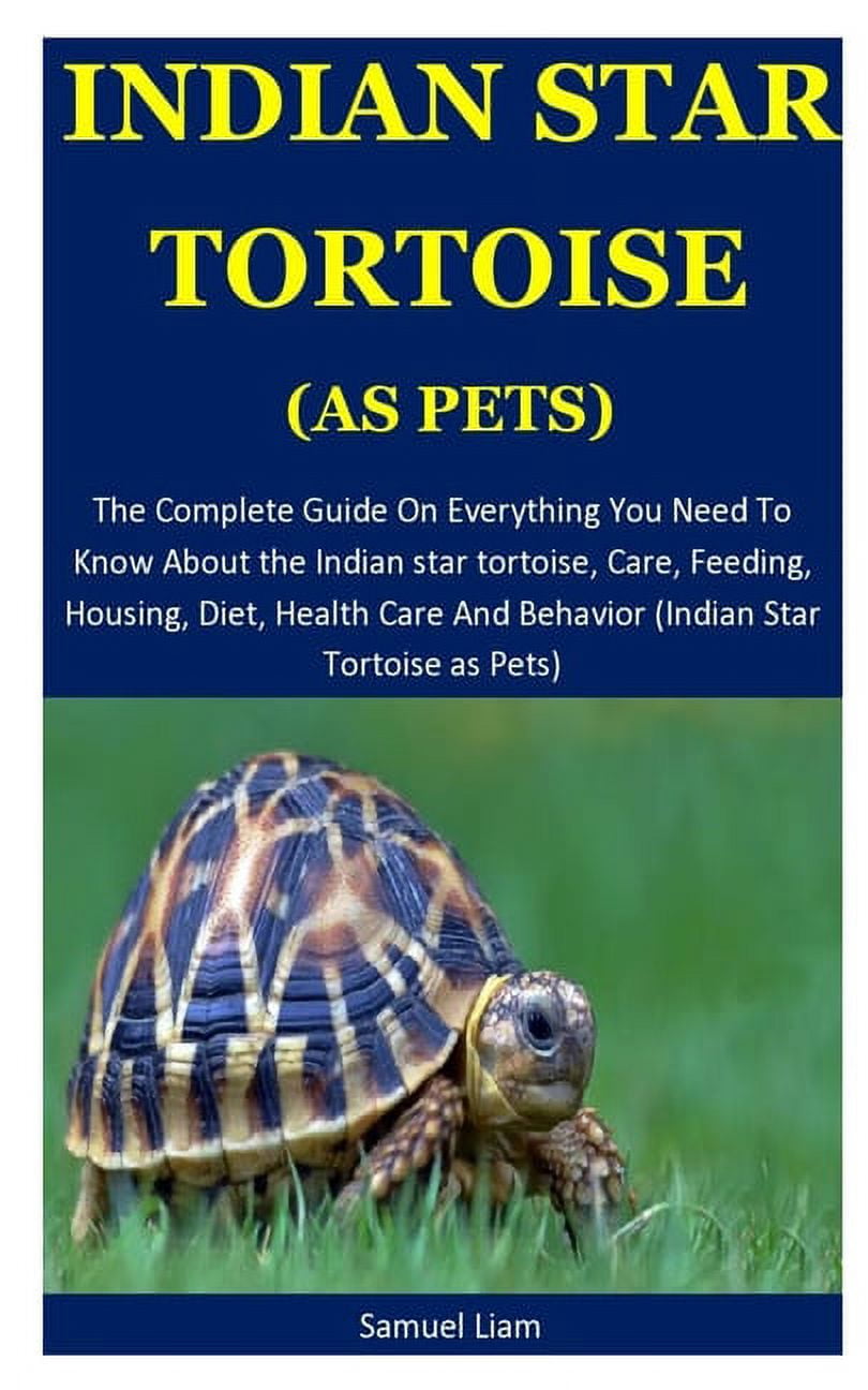 Indian Star Tortoise The Complete Guide On Everything You Need To Know About The Indian Star 