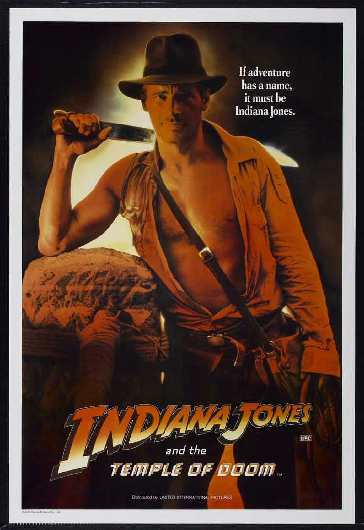 Indiana Jones and the Temple of Doom Movie Poster Print (27 x 40