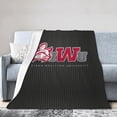 thumbnail image 1 of Indiana Wesleyan University Logo Fleece Blanket, Very Soft Microfiber Flannel Blanket for Couch Warm and Cozy for All Seasons, 1 of 8