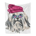 thumbnail image 1 of Indie Soft Flannel Fleece Throw Blanket, Lion Bichon Lowchen Breed Dog with Heart Shaped Glasses and French Hat Print, Cozy Plush for Indoor and Outdoor Use, 60" x 80", Grey Pink Blue, by Ambesonne, 1 of 5