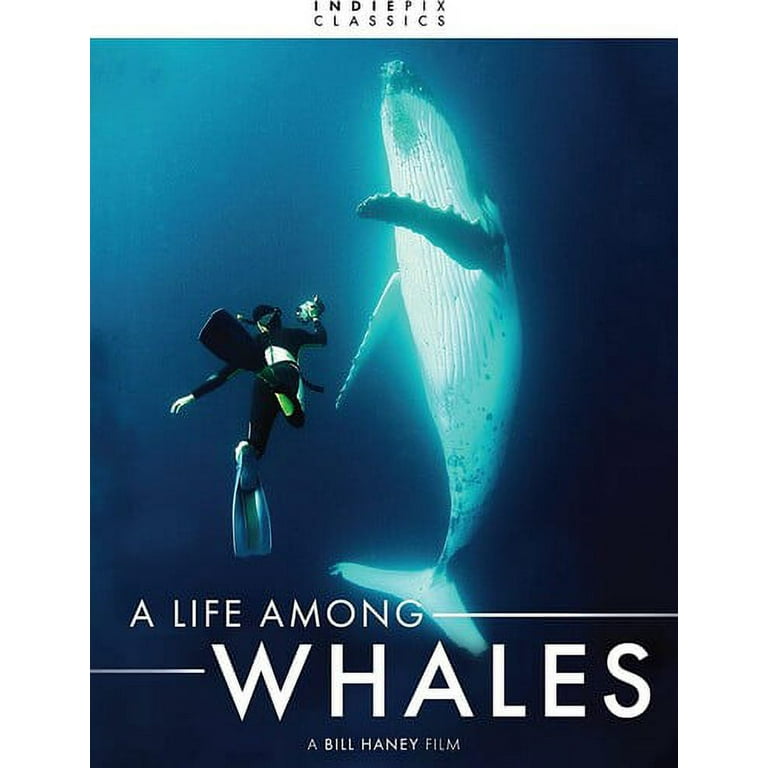 (未使用･未開封品)Life Among Whales [DVD] Indiepix Classics: A Life Among Whales (DVD), Indiepix