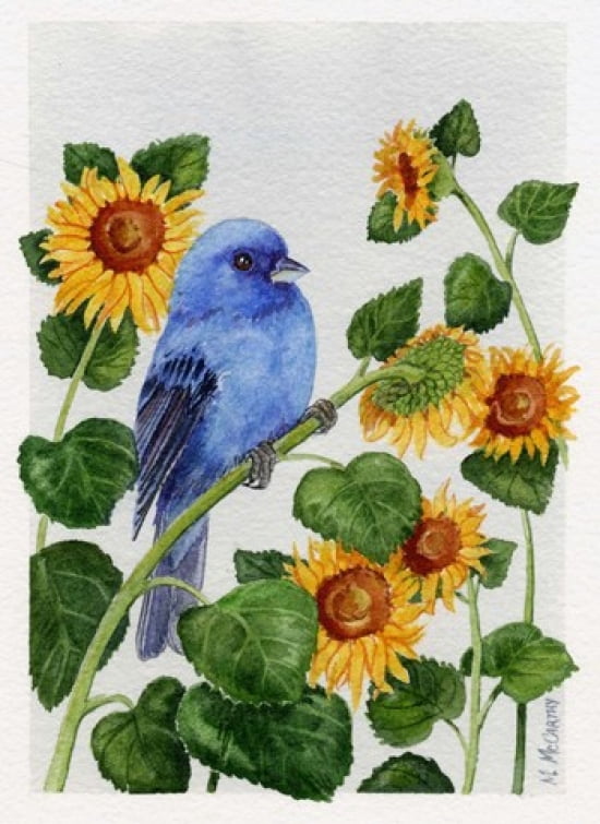 Indigo Bunting And Sunflower Canvas Art - Maureen Mccarthy (12 x 17)