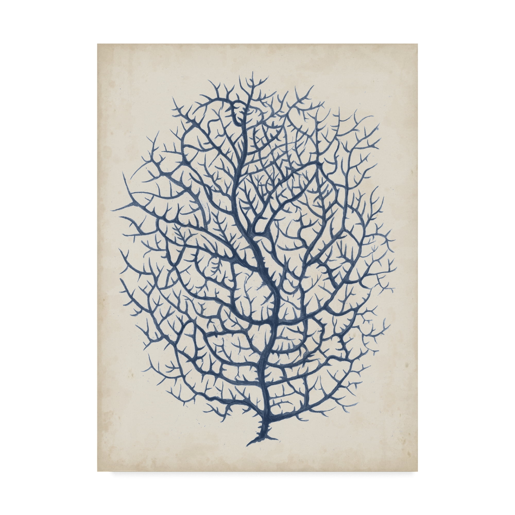 Indigo Coral I' Canvas Art by Vision Studio