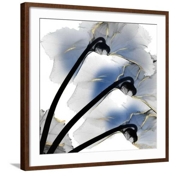 Indigo Luster Cyclamen Framed Photo by Albert Koetsier, 24" x 24", Sold by Art.com