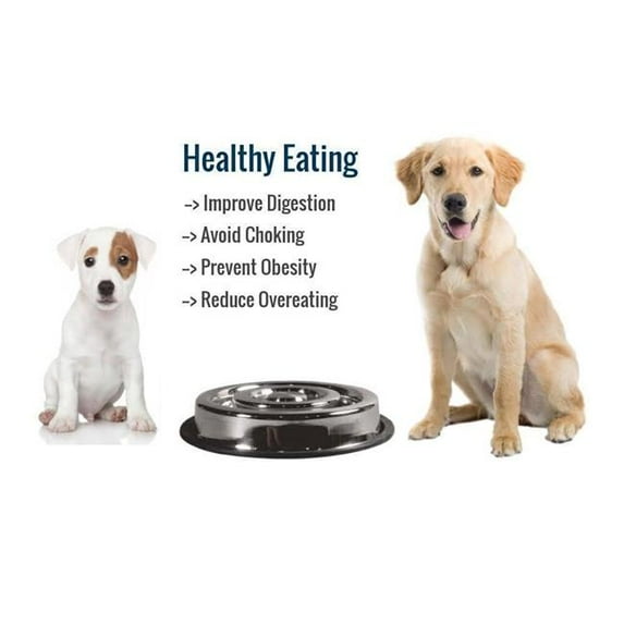 INDIPETS Spiral Slow Feed: Non-Skid Pet Water and Food Bowl | 30 oz, Large, Stainless Steel (PN: 800086)