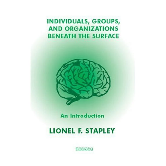 Pre-Owned Individuals, Groups and Organizations Beneath the Surface: An Introduction (Paperback) 1855753197 9781855753198