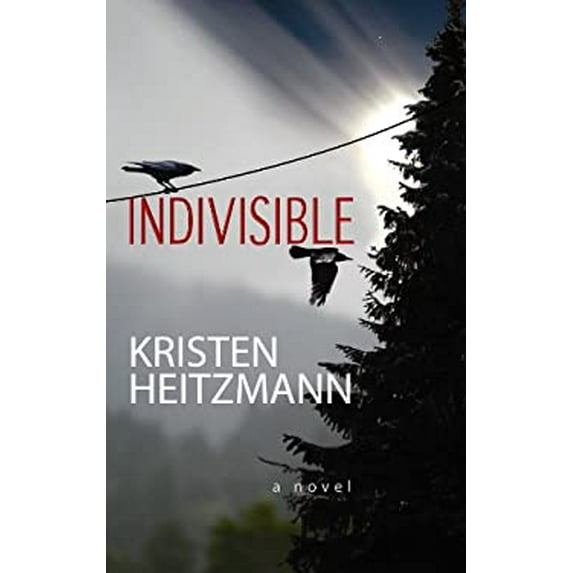 Pre-Owned Indivisible 9781602858428