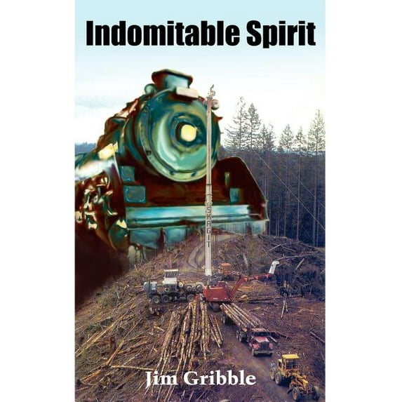 Indomitable Spirit (Paperback)