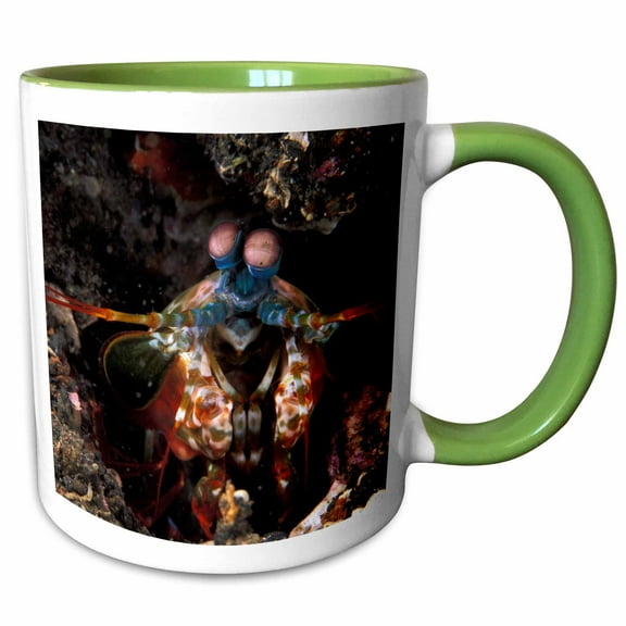 3drose, Indonesia. Green Mantis Shrimp, Crustacean-as11 Mwe0264 - Michele Westmorland, 11oz Two-tone Green Mug