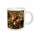 thumbnail image 1 of 3drose, Indonesia, Indo-pacific. Nudibranch-as11 Mwe0245 - Michele Westmorland, 15oz Mug, 1 of 6